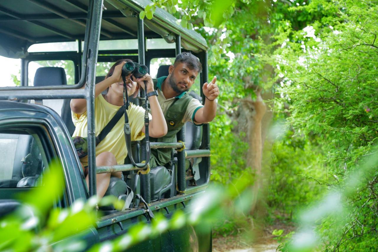 Hotel Leopard Nest - Glamping In Yala Esterno foto