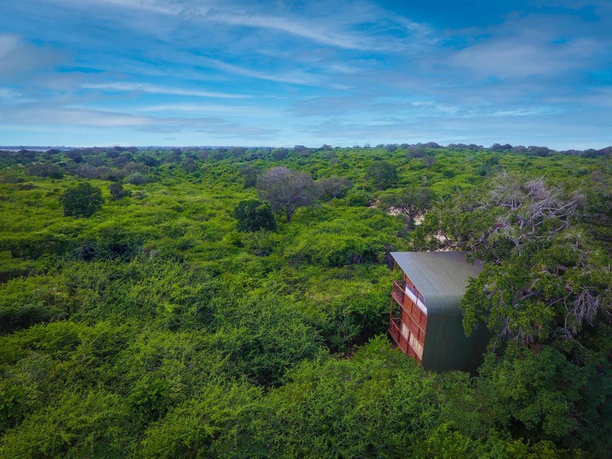 Hotel Leopard Nest - Glamping In Yala Esterno foto