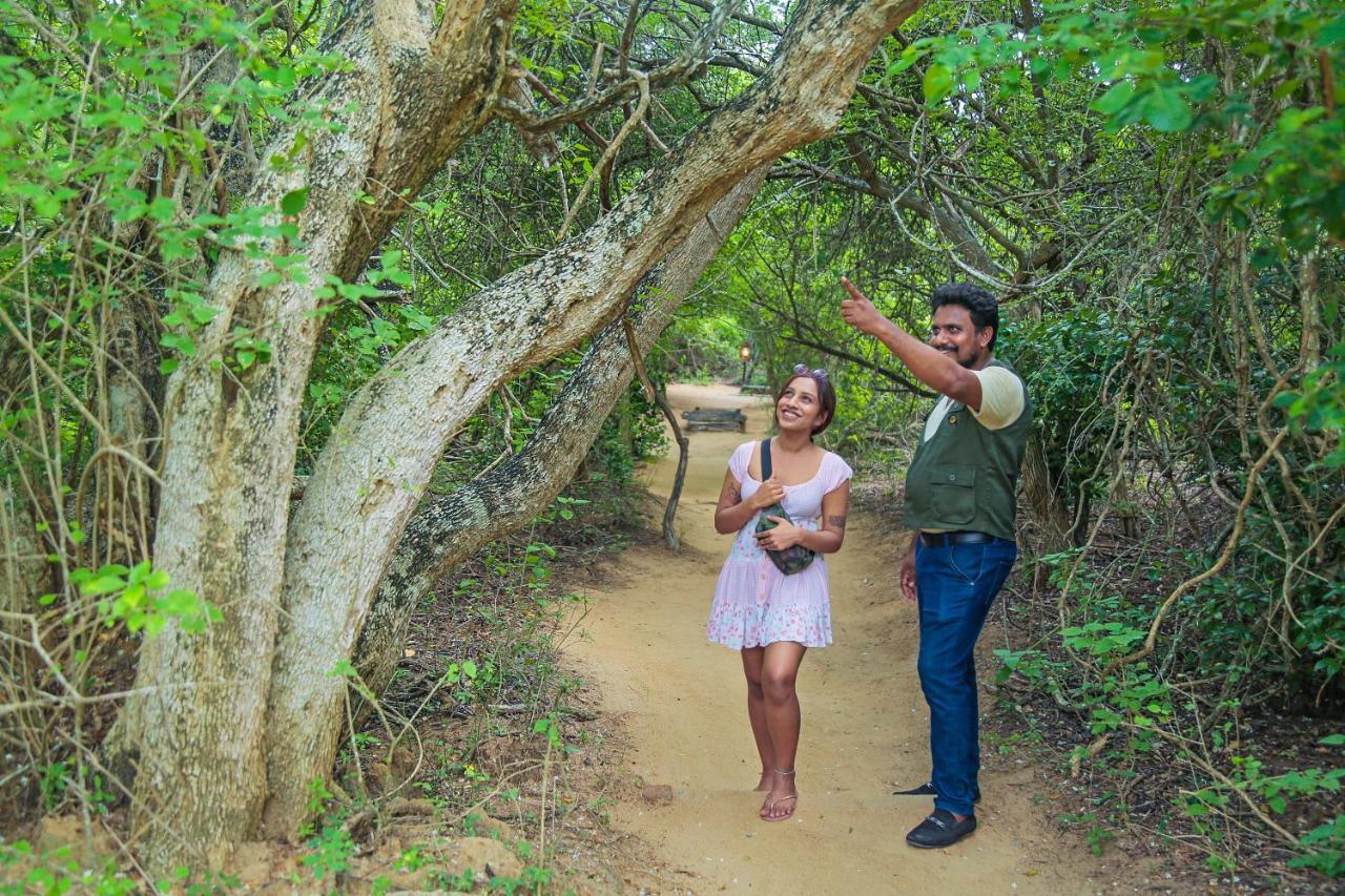 Hotel Leopard Nest - Glamping In Yala Esterno foto