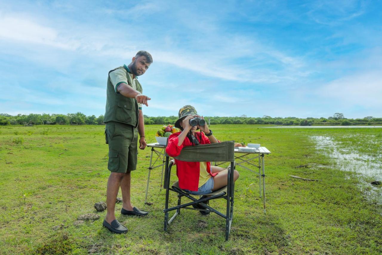 Hotel Leopard Nest - Glamping In Yala Esterno foto