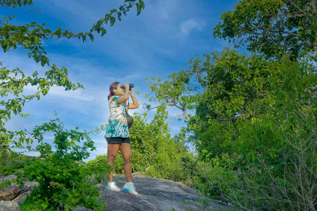 Hotel Leopard Nest - Glamping In Yala Esterno foto