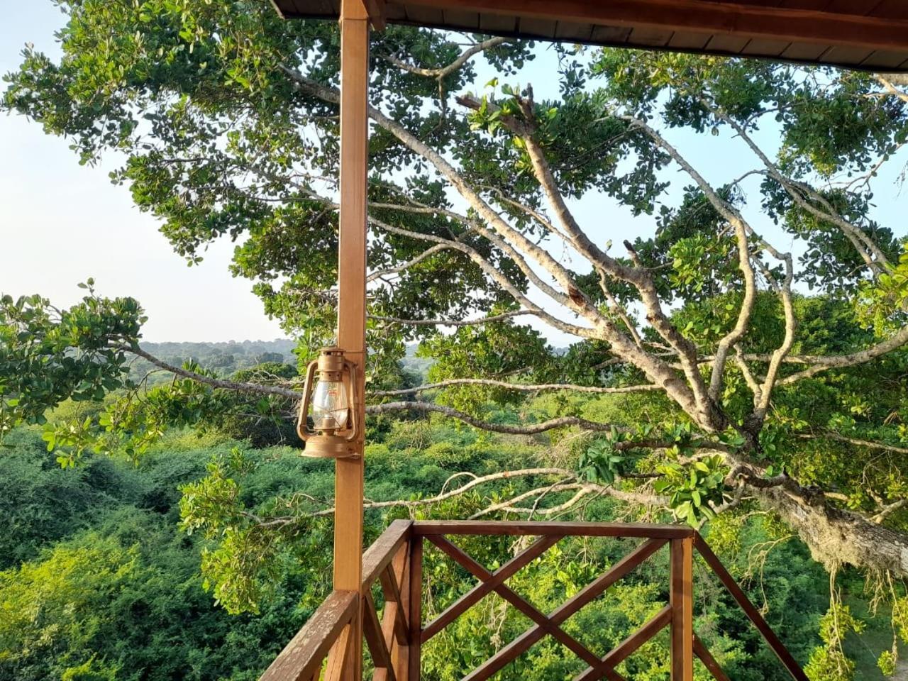 Hotel Leopard Nest - Glamping In Yala Esterno foto