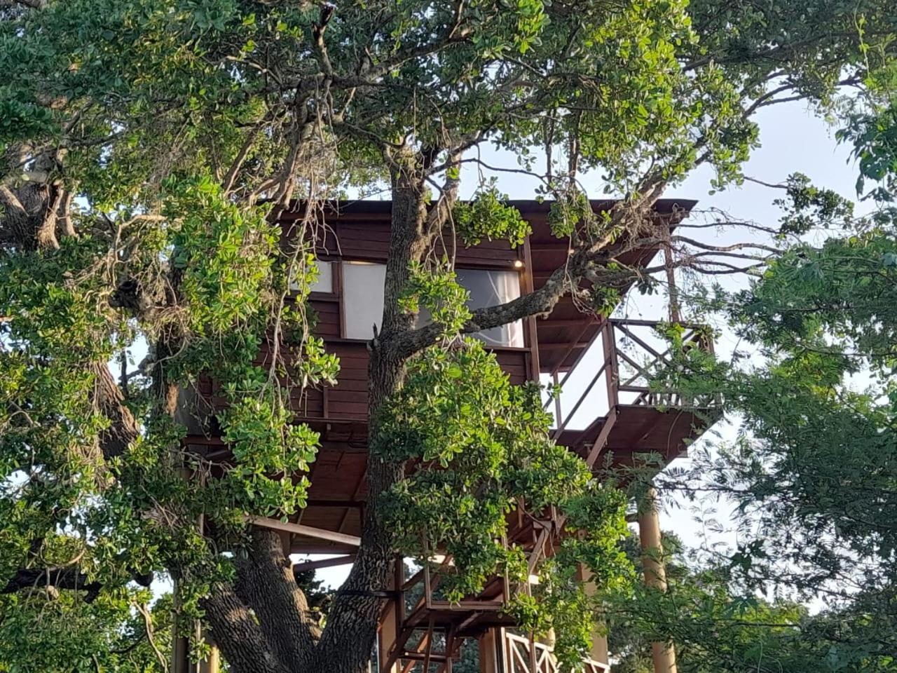 Hotel Leopard Nest - Glamping In Yala Esterno foto