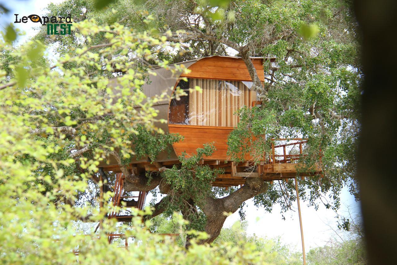 Hotel Leopard Nest - Glamping In Yala Esterno foto