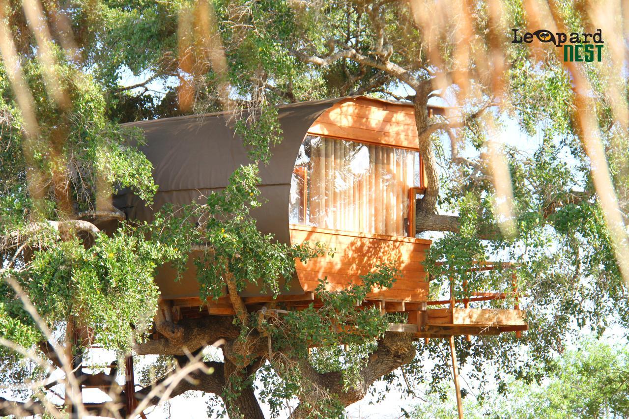 Hotel Leopard Nest - Glamping In Yala Esterno foto