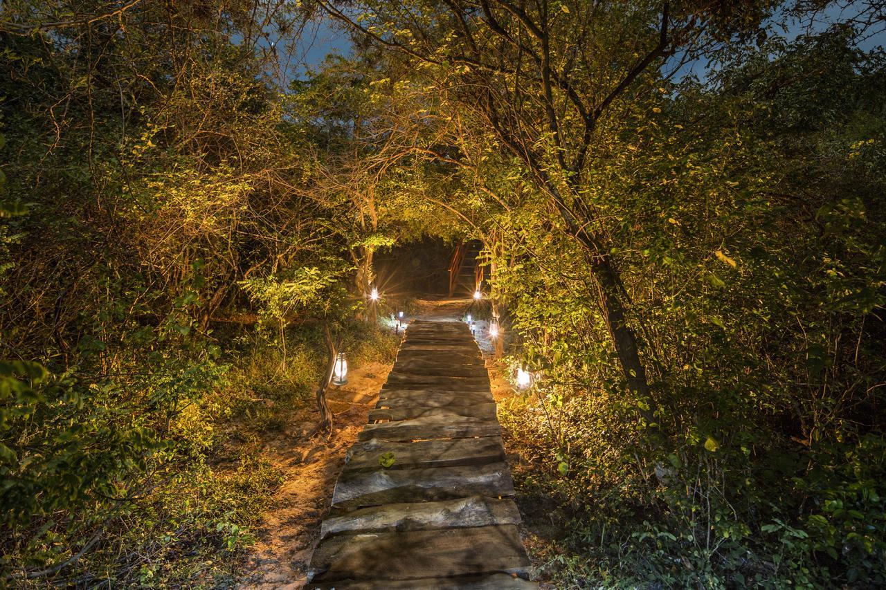 Hotel Leopard Nest - Glamping In Yala Esterno foto