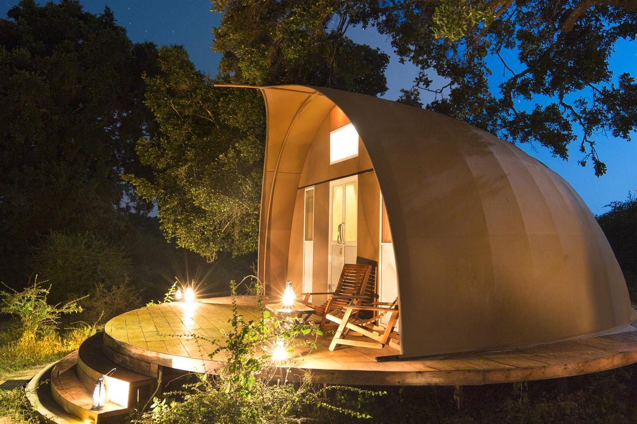 Hotel Leopard Nest - Glamping In Yala Esterno foto