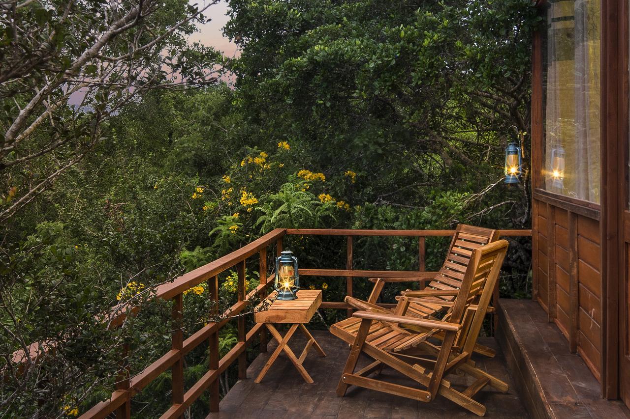 Hotel Leopard Nest - Glamping In Yala Esterno foto