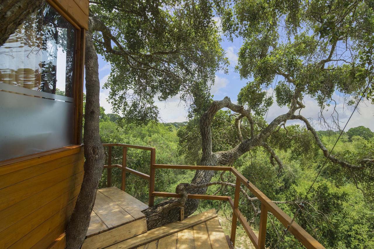 Hotel Leopard Nest - Glamping In Yala Esterno foto