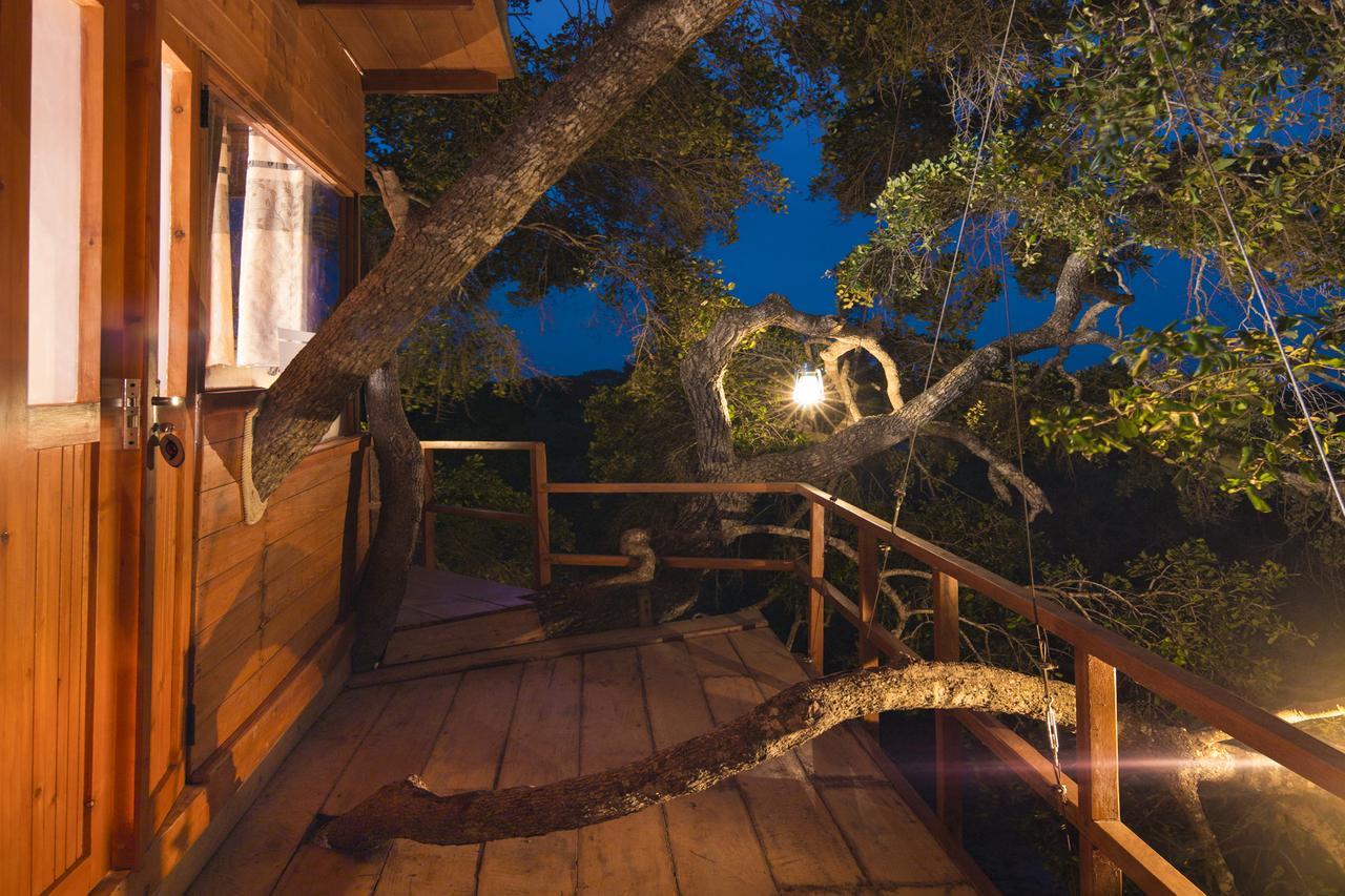 Hotel Leopard Nest - Glamping In Yala Esterno foto